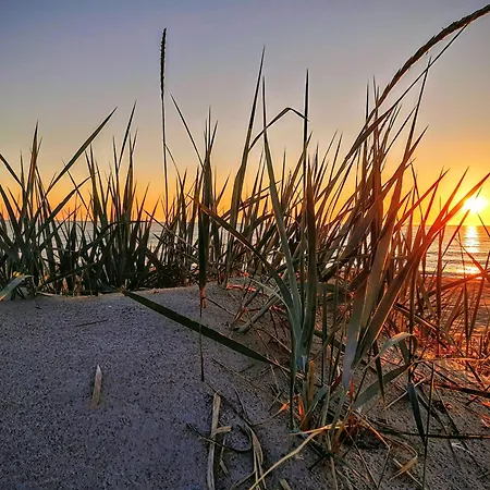 아파트 Marina 달로브코