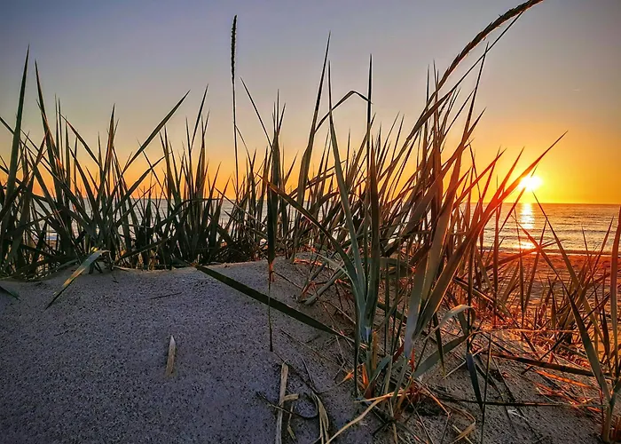 Апартаменты Marina Дарлувко